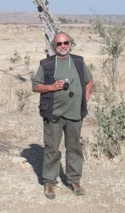 705136_552496874778346_56634648_o