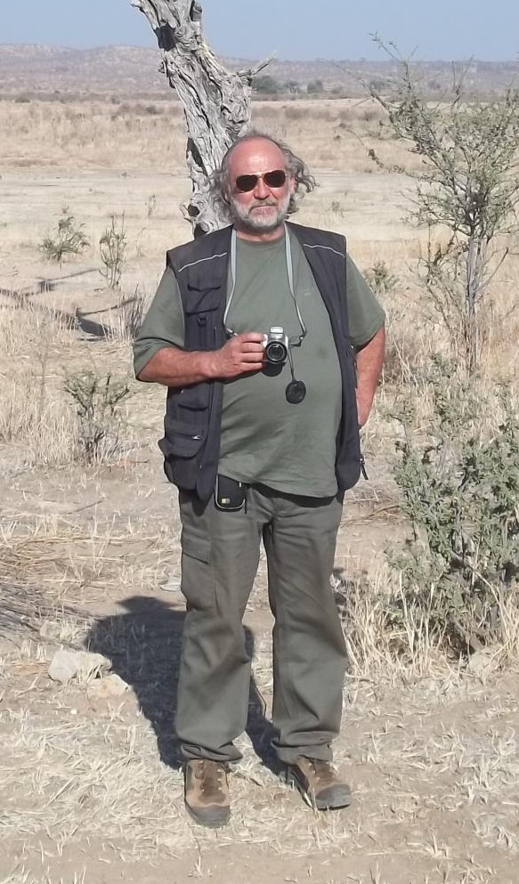 705136_552496874778346_56634648_o