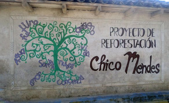 proyecto-de-reforestacion
