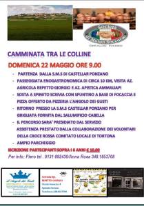 13095932_1527598377549562_478898211023254720_n